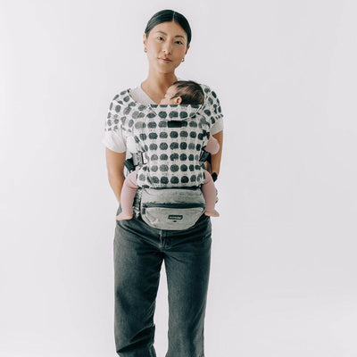 2-in-1 Convertible Carrier