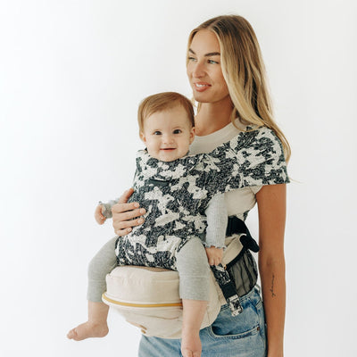 2-in-1 Convertible Carrier