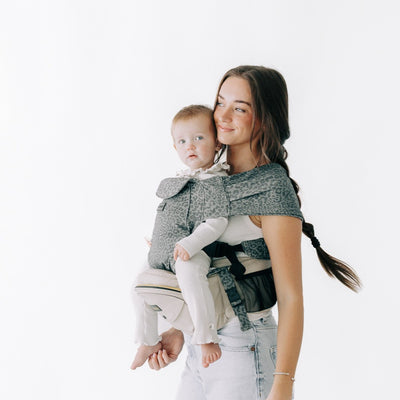 2-in-1 Convertible Carrier
