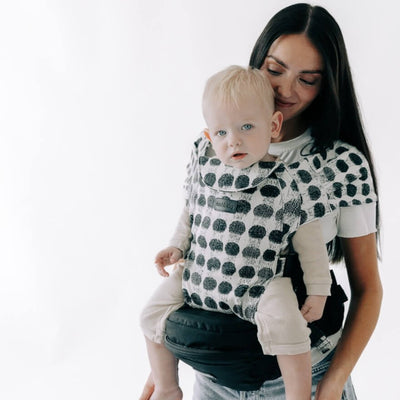 2-in-1 Convertible Carrier