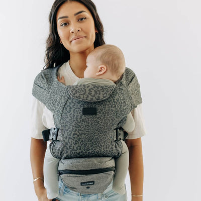 2-in-1 Convertible Carrier