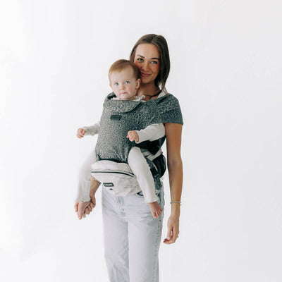 2-in-1 Convertible Carrier