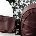 2-in-1 Convertible Carrier