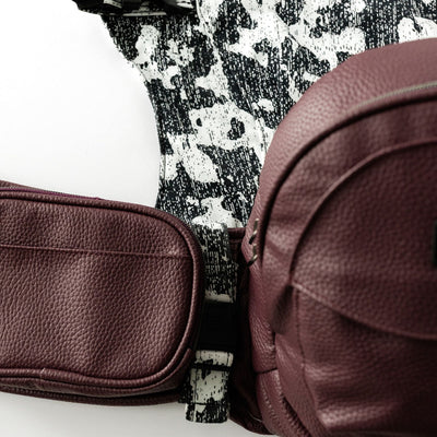 2-in-1 Convertible Carrier