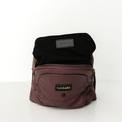 2-in-1 Convertible Carrier