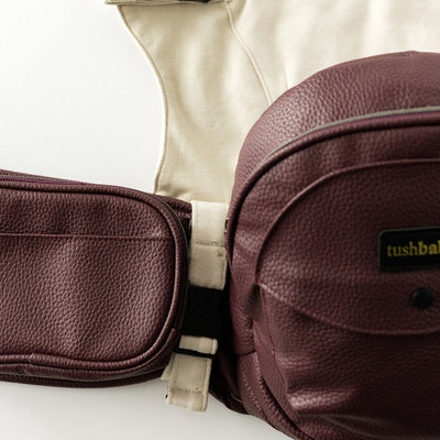 2-in-1 Convertible Carrier
