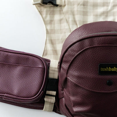2-in-1 Convertible Carrier