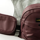 2-in-1 Convertible Carrier