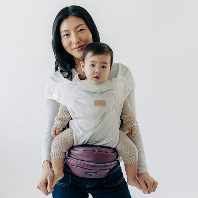 2-in-1 Convertible Carrier