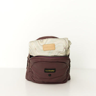 2-in-1 Convertible Carrier