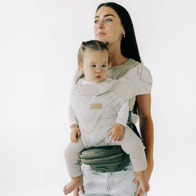 2-in-1 Convertible Carrier