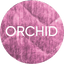 Orchid